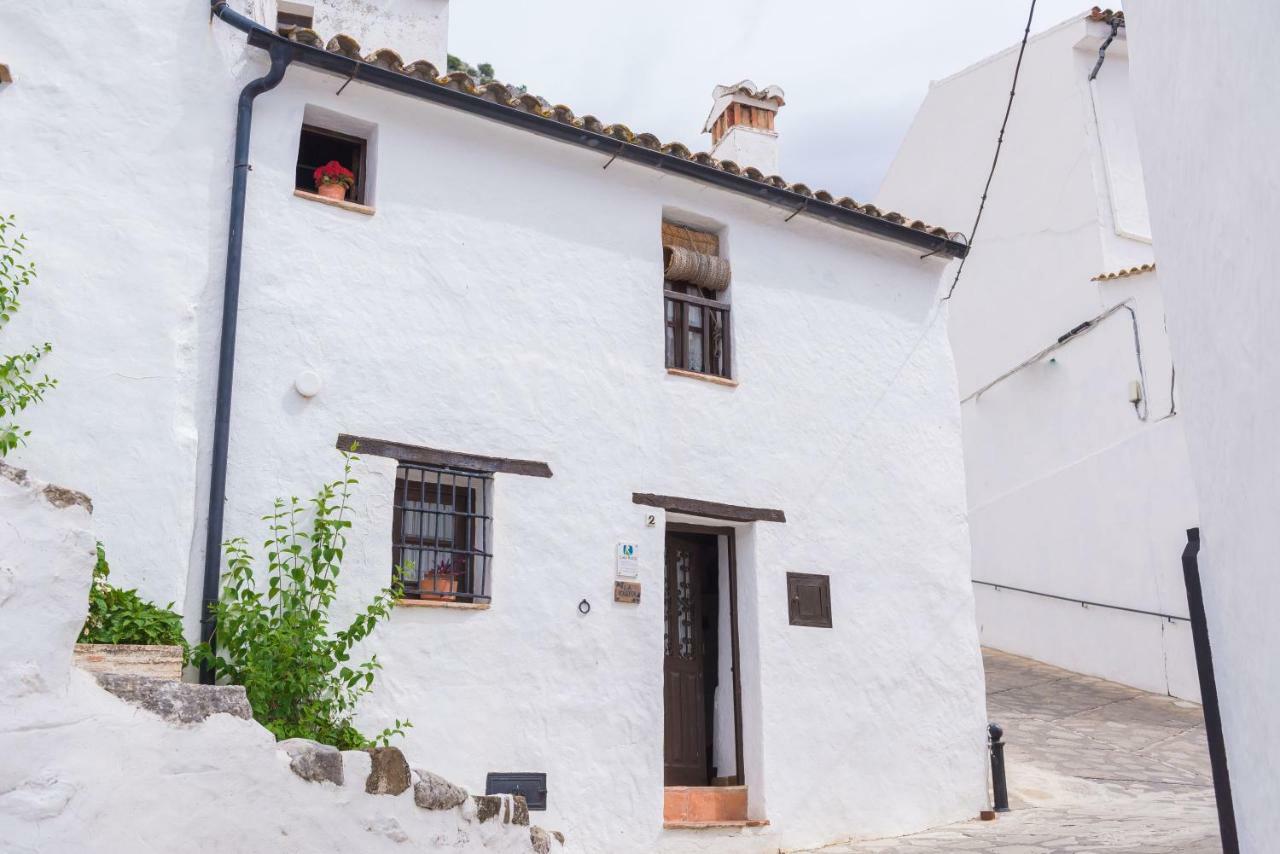 Gasthaus Conjunto Rural Casa Victoria Villaluenga Del Rosario Exterior foto