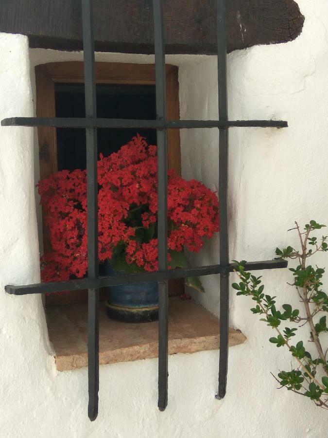 Gasthaus Conjunto Rural Casa Victoria Villaluenga Del Rosario Exterior foto